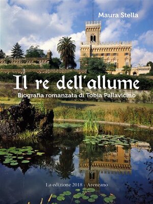 cover image of Il Re dell'Allume